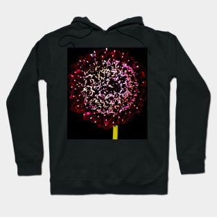 Black Knight Scabiosa Hoodie